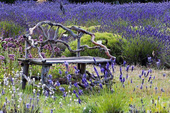 twig-bench-lavendar